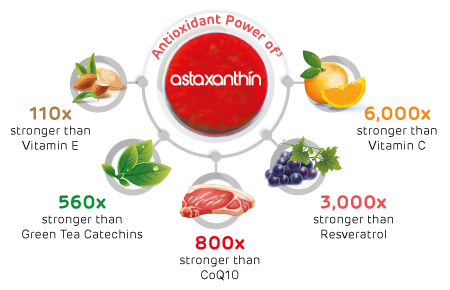C40H52O4 Haematococcus Pluvialis Extract Pure Astaxanthin Powder 3% 5% 10% 0