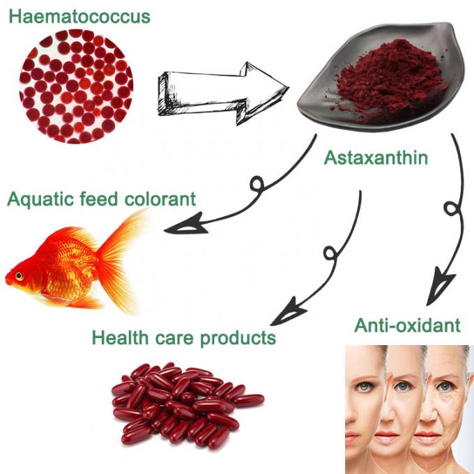 C40H52O4 Haematococcus Pluvialis Extract Pure Astaxanthin Powder 3% 5% 10% 2