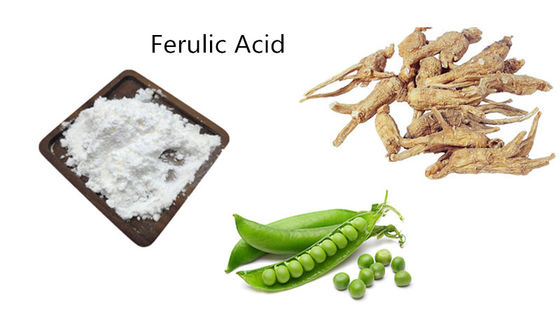 Angelica Extract Ferulic Acid Powder