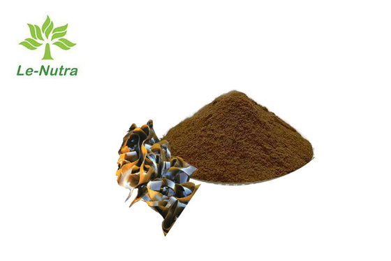 Antioxidants Organic Kombu Extract Powder Ratio Extract