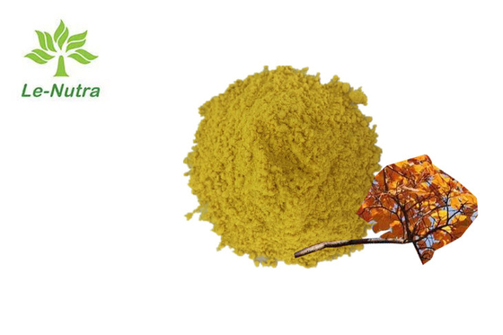 80% Pure Bulk Fisetin Powder Cotinus Coggygria Extract Anti Tumor