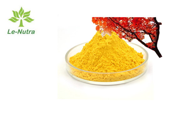 85% 96% Pure Fisetin Powder Bulk Smoke Tree Extract Natural Supplement