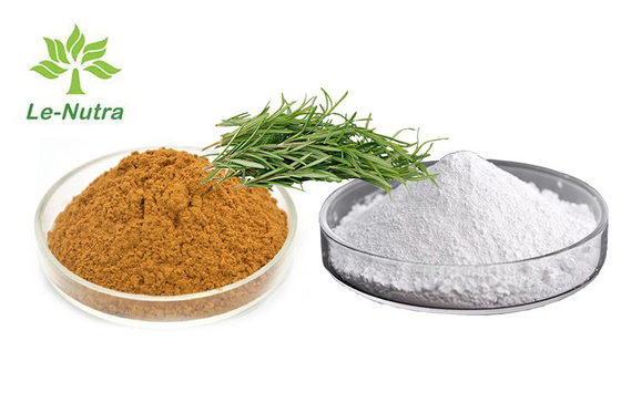 Herbal Rosemary Oleoresin Extract Rosmarinic Acid Powder