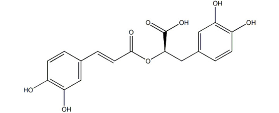 Herbal Rosemary Oleoresin Extract Rosmarinic Acid Powder