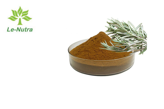 Herbal Rosemary Leaf Extract Powder Antioxidant For Skin