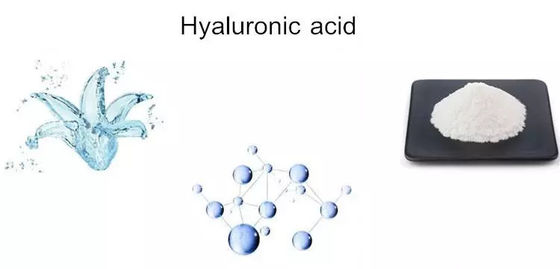 Hyaluronan Hyaluronic Acid Mucopolysaccharide Powder Cosmetic Raw Materials