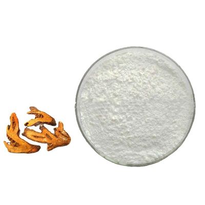 High Quality Best Price Japanese Knotweed extract Resveratrol 99% Food Grade Bulk Powder