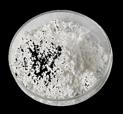 Manufacture Supply White Natural Sesame Seed Extract 98% Sesamin Powder