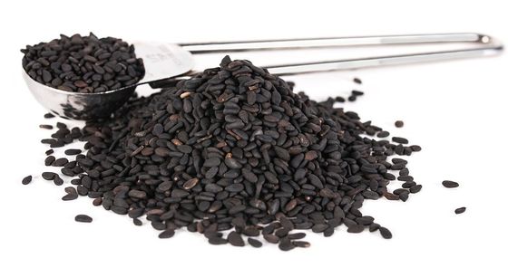 Manufacture Supply White Natural Sesame Seed Extract 98% Sesamin Powder