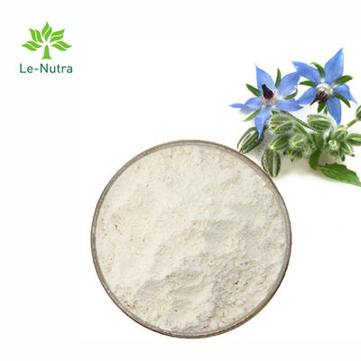 Gmp Natural High Quality Borage Seed Oil Powder with Linolenic Acid and Omega 6 Fatty Acid