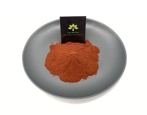 Hot Sale Natural High Purity Best Quality OPC Anthocyanins 95% Organic Grape seed vitis vinifera extract powder