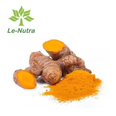 Herbal Extract Powder Free sample Turmeric extract powder Turmeric extract 95% curcumin