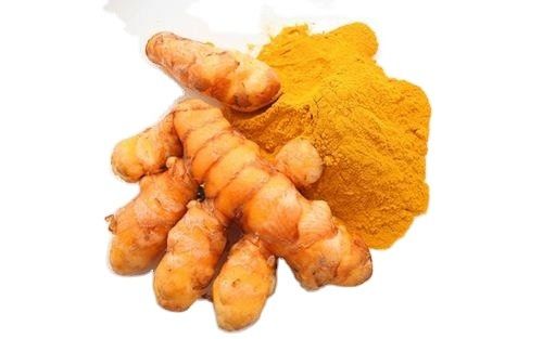 Herbal Extract Powder Free sample Turmeric extract powder Turmeric extract 95% curcumin