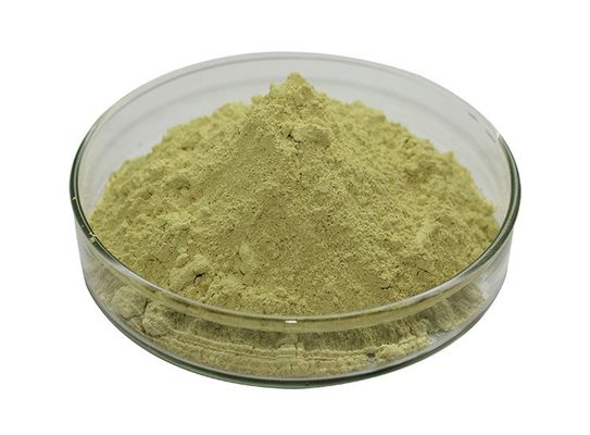 High Grade Pure Natural Private label Immunity Supplement Echinacea purpurea extract Echinacea Polyphenols for capsules