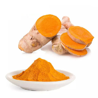 Herbal Extract Powder High quality Organic Turmeric root extract powder curcumin 95%