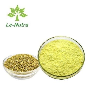 Factory supply High quality 95% Rutin powder Sophora japonica extract CAS# 153-18-4