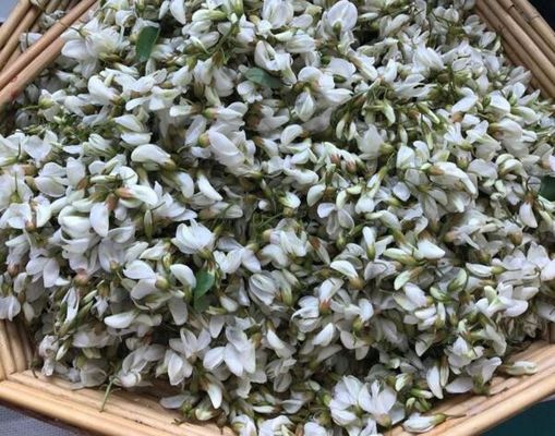Factory supply High quality 95% Rutin powder Sophora japonica extract CAS# 153-18-4