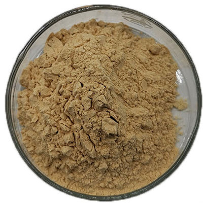 Herbal Extract Powder 100% Natural Flax seed Hull extract Secoisolariciresinol Diglucoside, 40% SDG