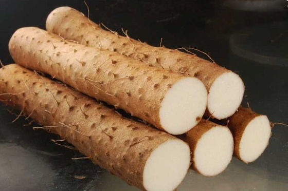 Diosgenin 1%-45% Natural Chinese Wild Yam Extract Powder with Organic certified
