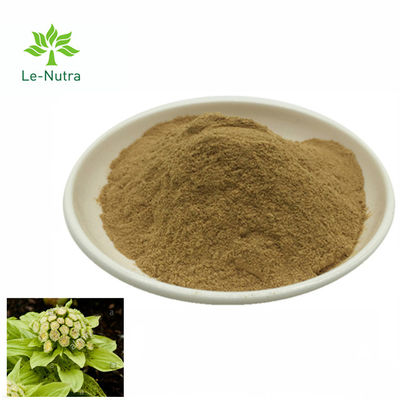 High Quality Herbal Extract Butterbur Leaf Extract Powder/Petasites Japonicus Extract Petasin 15%