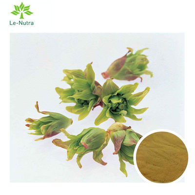 High Quality Herbal Extract Butterbur Leaf Extract Powder/Petasites Japonicus Extract Petasin 15%