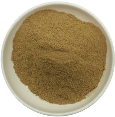 High Quality Herbal Extract Butterbur Leaf Extract Powder/Petasites Japonicus Extract Petasin 15%