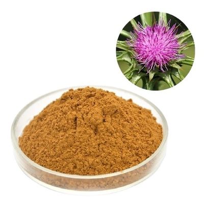 Le-Nutra 80% milk thistle seeds minced Silybum Marianum Extract Powder with competitive price