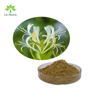 Hot sale Wild  Honeysuckle Flower Extract/honeysuckle extract with Chlorogenic Acid