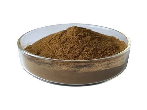 Hot sale Wild  Honeysuckle Flower Extract/honeysuckle extract with Chlorogenic Acid