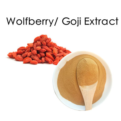 Herbal Extract Powder goji berry extract powder 30% 70% polysacharides and proteins