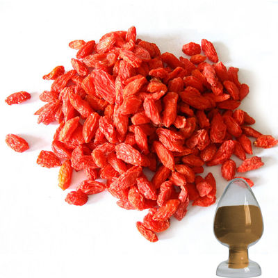 Herbal Extract Powder goji berry extract powder 30% polysacharides and proteins