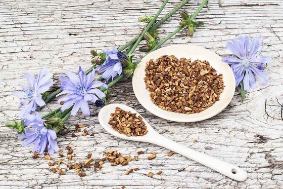 Food Grade Chicory Root Dried Herbal Extract Powder