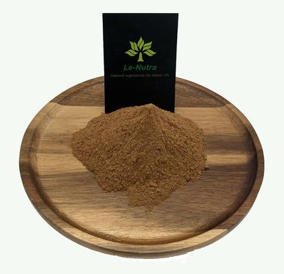 Hot sale Natural ginkgo biloba leaf extract powder Flavones 24.0%, Lactones 6.0%