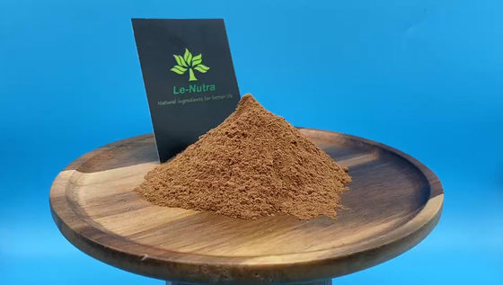GMP certified Natrual ginkgo biloba leaf extract Flavones 24.0%, Lactones 6.0% raw material powder