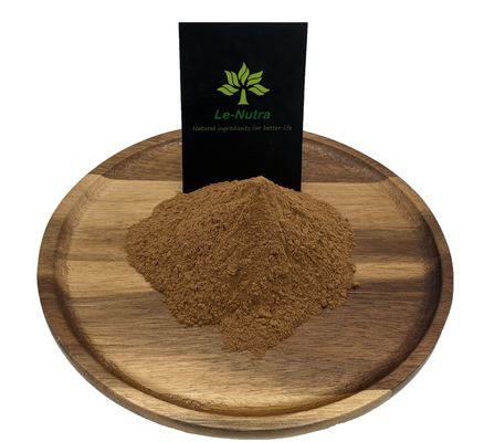 GMP certified Natrual ginkgo biloba leaf extract Flavones 24.0%, Lactones 6.0% raw material powder