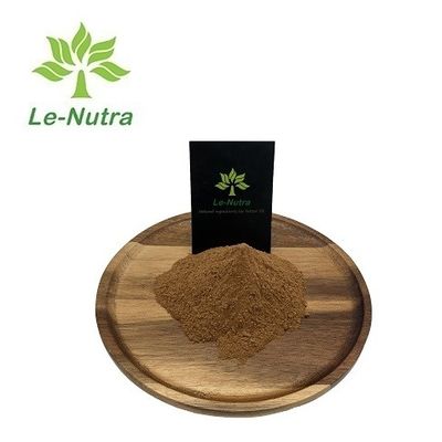 GMP certified Natrual ginkgo biloba leaf extract Flavones 24.0%, Lactones 6.0% raw material powder