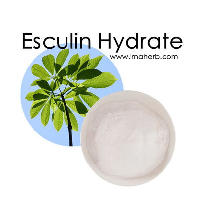 natural horse chestnut seed extract Esculin 98% with top quality
