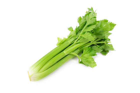 Hot sale Best Quality Pure Celery Powder Apigenin 98% Extract Powder in Bulk