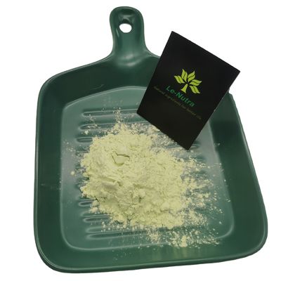 Fresh Celery Raw Powder Apigenin 98% Powder without additives