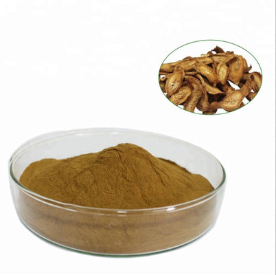 Hot selling Herbal Extract Powder burdock root extract.All natural burdock root extract.