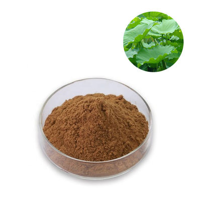 Herbal Extract Powder Factory Supply Top Grade CAS 475-83-2 Lotus Leaf Extract Nuciferine Powder
