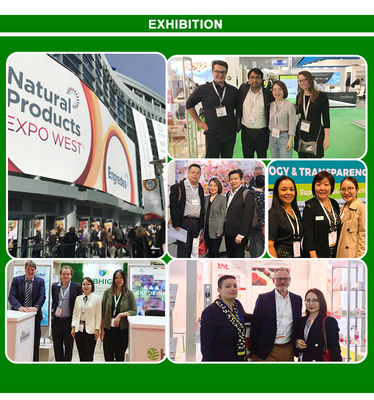 Hot sale Organic Natto Extract Powder Nattokinase price Nattokinase powder natto extract powder nattokinase