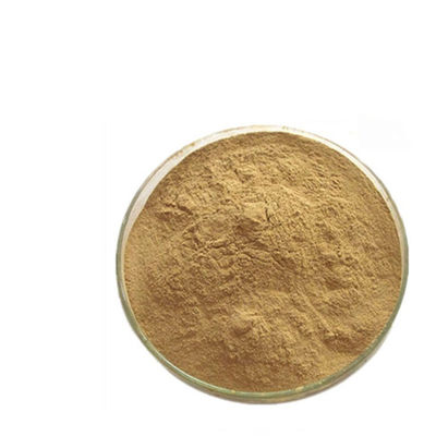 Herbal Extract Powder Green Coffee Bean Extract Powder Chlorogenic Acid