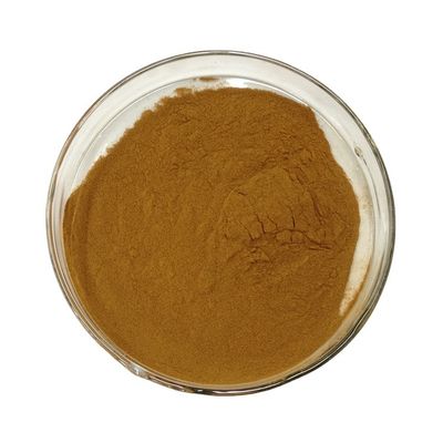 Herbal Extract Powder The factory supplies Broccoli seed extract  Sulforaphane 1% Powder