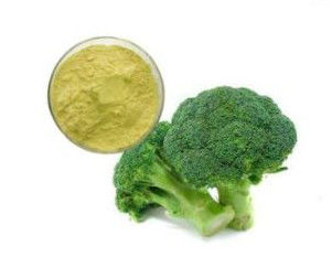 The factory broccoli sprout extract sulforaphane/broccoli sulforaphane powder/sulforaphane 99