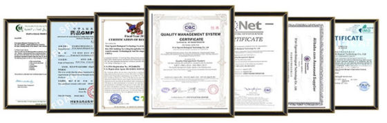GMP Certified Herbal Extract Powder Pure Instant Acerola Cherry Juice Concentrated Powder