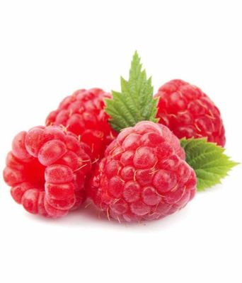 Superfoods Ingredients 100% pure Raspberry Juice Powder Herbal Extract Powder