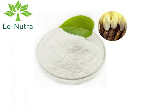 90% Chicory Root Extract Inulin Synanthrin CAS 9005-80-5