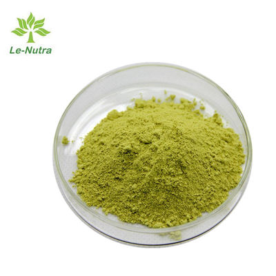 C15H10O7 Quercetin Herbal Extract Powder Sophorae Japonicae Flos Extract
