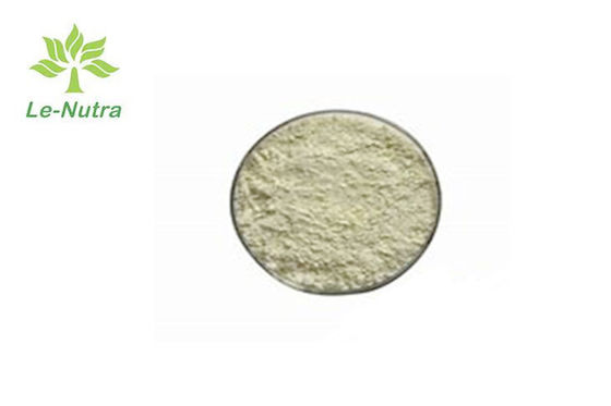 Off White Fine Herbal Extract Genistein Powder Anti Radiation